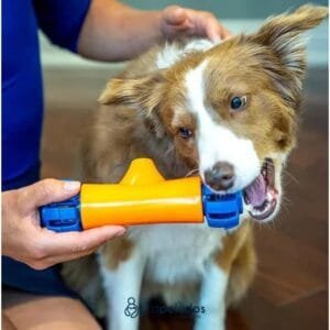 Dispensador Robótico de Golosinas RollaBone – Juguete Automático para Perros