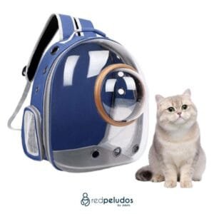 Bolso Transportador Transparente para Mascotas – Aprobado por Aerolíneas, Ventilado y Portátil