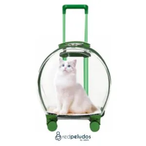 Transportador Transparente para Mascotas – Maletín Rígido con Ventilación y Alfombrilla Acolchada