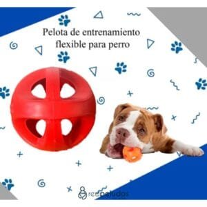 Set de 3 Pelotas para Mascotas – Termoplástico Atóxico