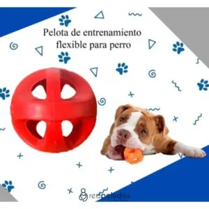Set de 3 Pelotas para Mascotas – Termoplástico Atóxico
